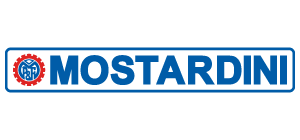 www.mostardini.it